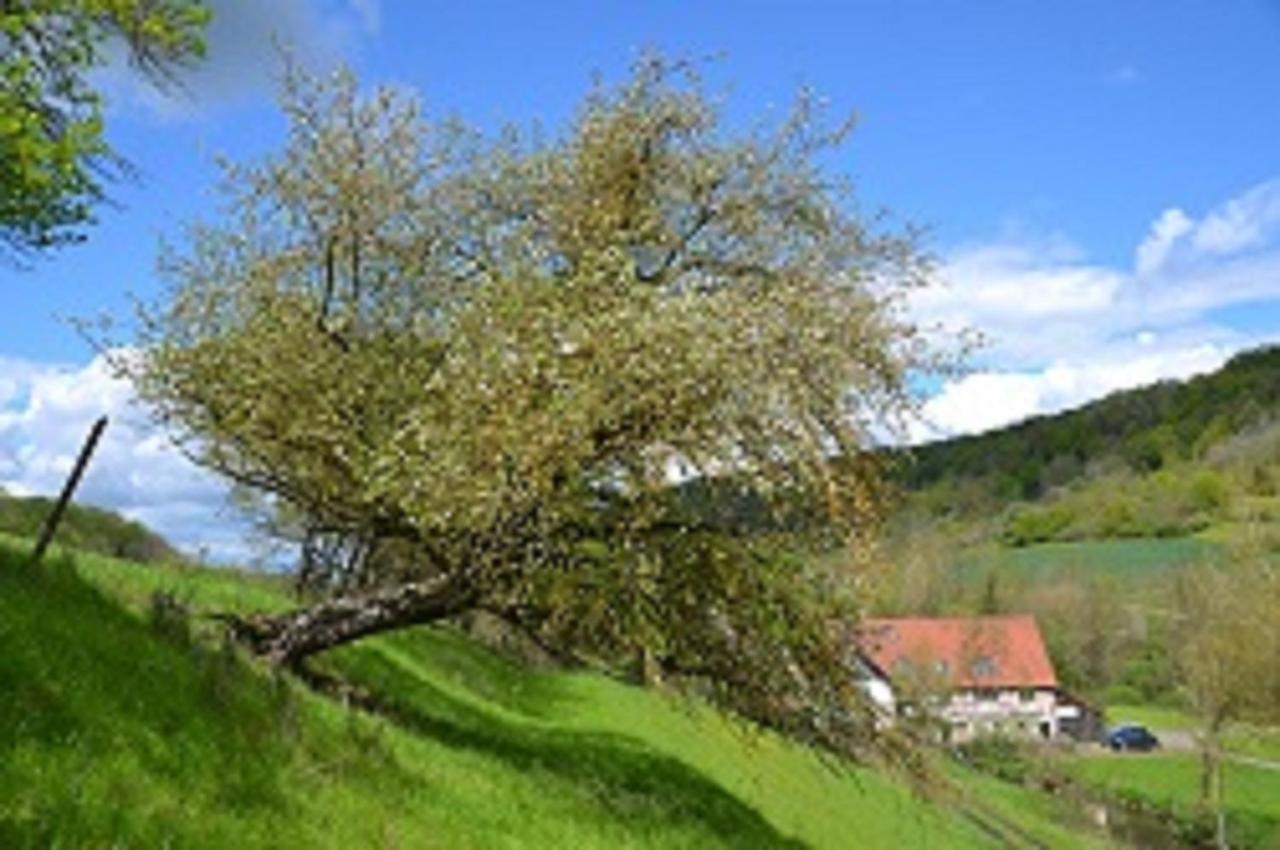 Gasthaus Holdermuehle เครกลิงเงิน ภายนอก รูปภาพ
